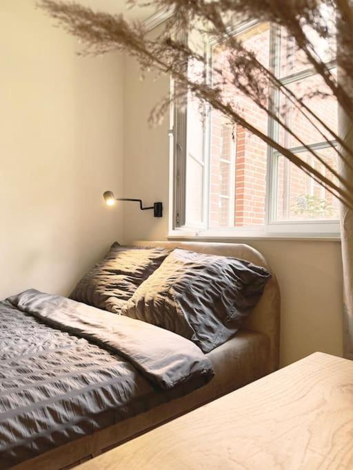 Natural Apartment In The City Center - Old Town Wroclaw Luaran gambar